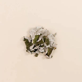 Ready Mama - tisane feuilles de framboisier accouchement