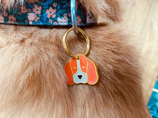 Médaille - Beagle