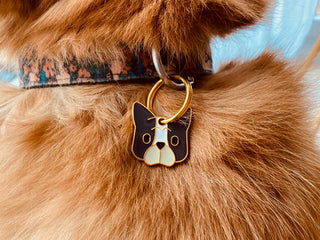 Médaille "Bouledogue"
