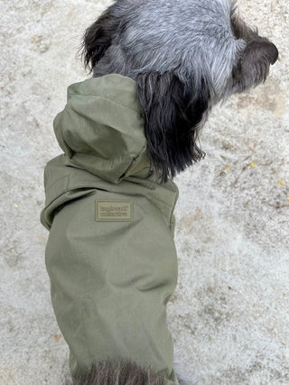 Manteau pour chien