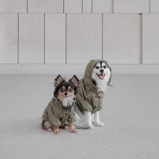 Manteau pour chien